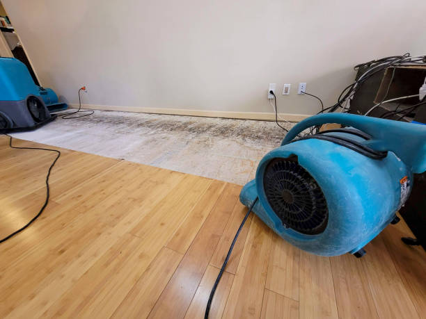 Professional Flood Damage Cleanup technician working in Burnett, WI